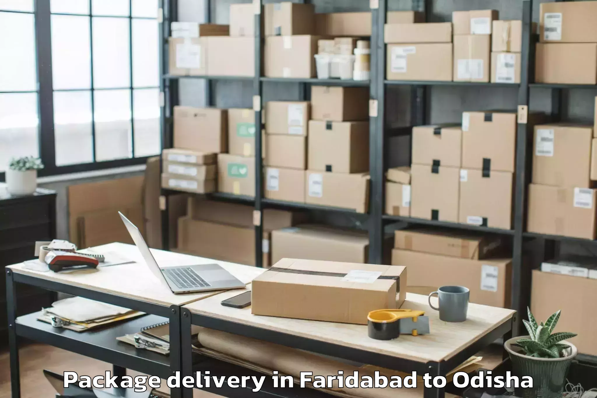 Book Faridabad to Athagad Package Delivery Online